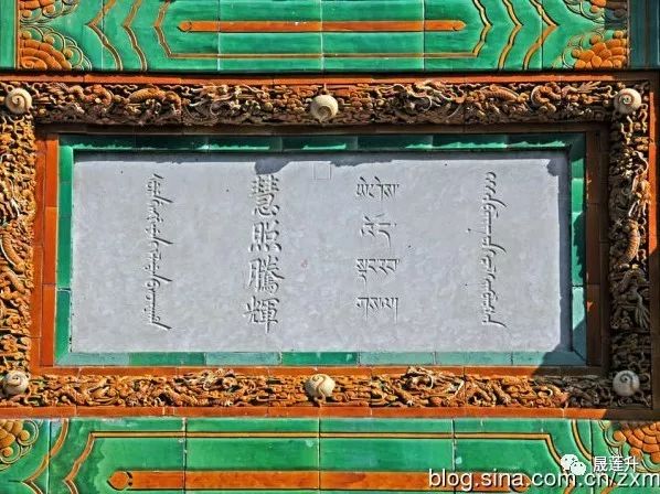 641.jpg
